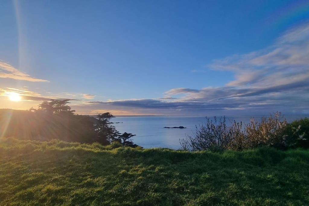 Logement Plein Centre De Plerin A Proximite Des Plages Et Des Commerces Buitenkant foto